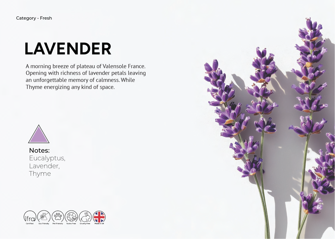 LAVENDER AROMA OIL DS