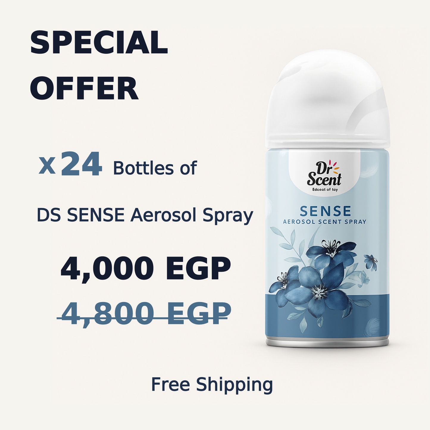 DS AEROSOL SPRAY OFFER