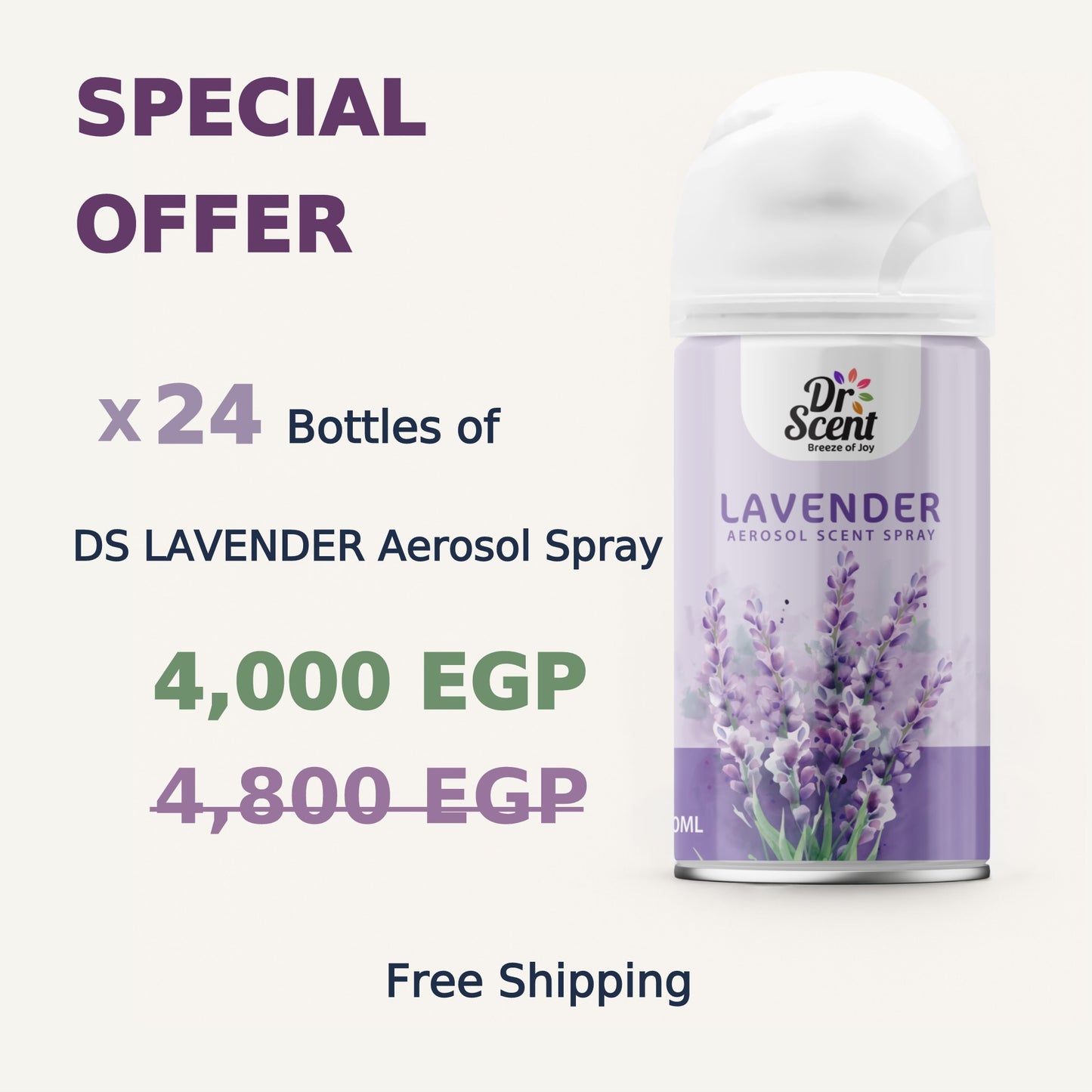 DS AEROSOL SPRAY OFFER