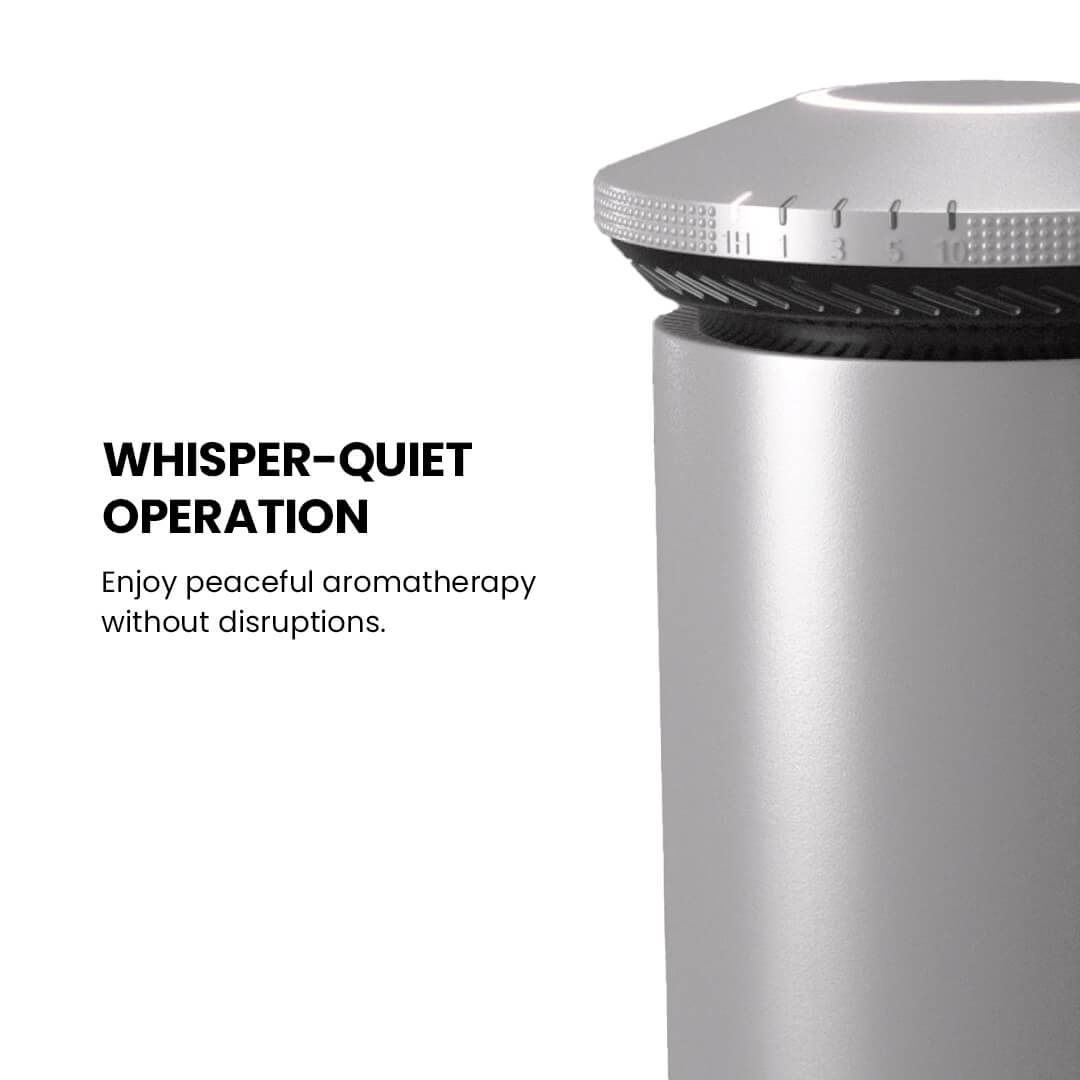 CAR SCENT FRESH DRIVE