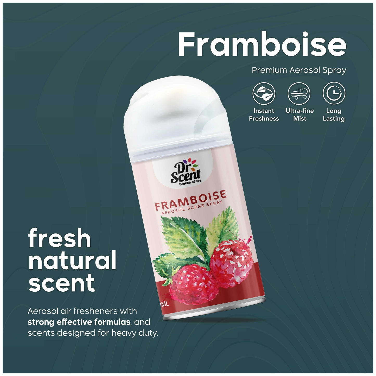 DS FRAMBOISE AEROSOL SPRAY