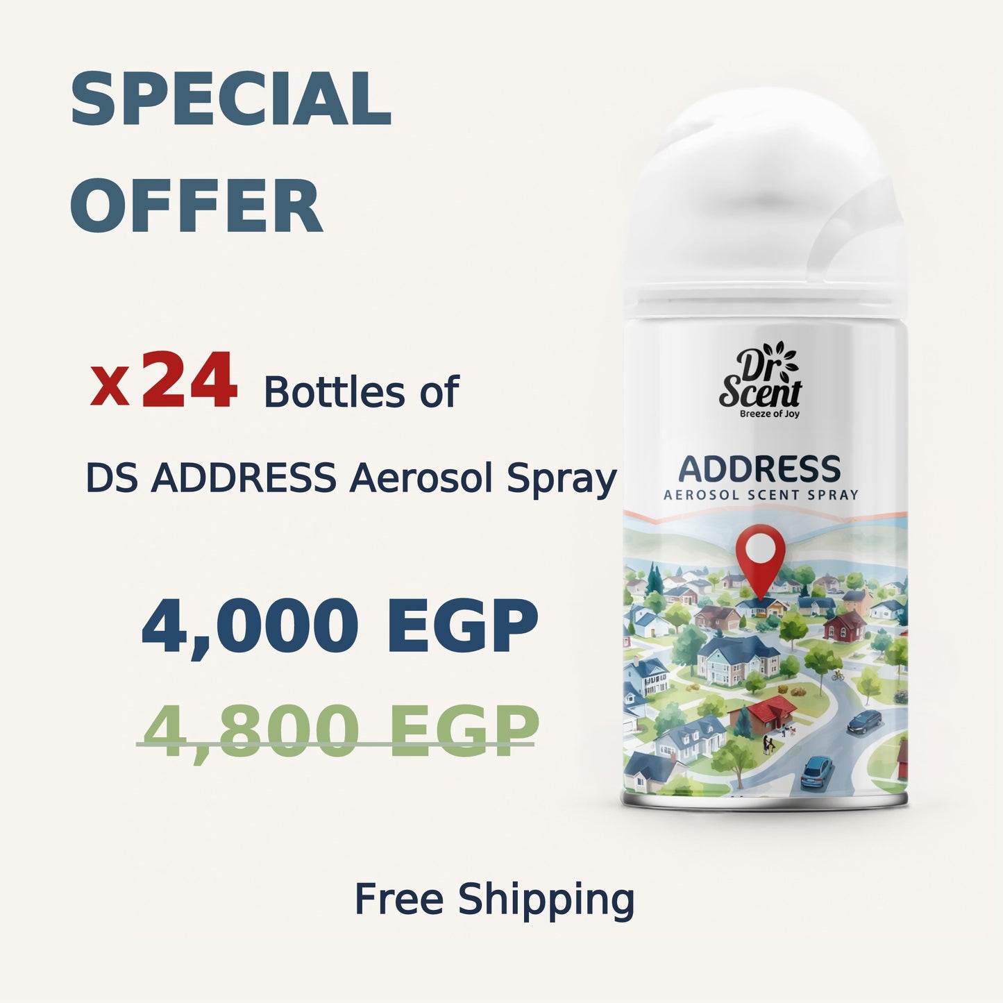 DS AEROSOL SPRAY OFFER