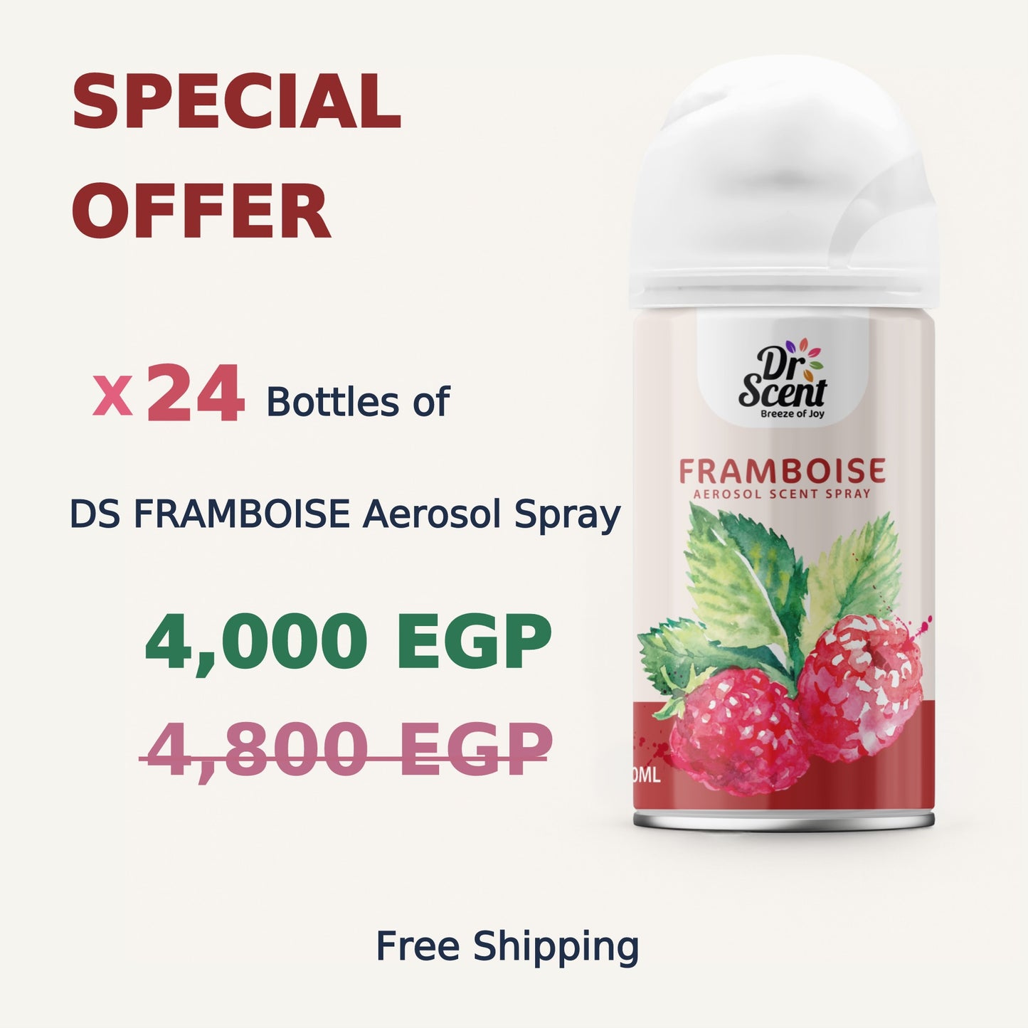DS AEROSOL SPRAY OFFER