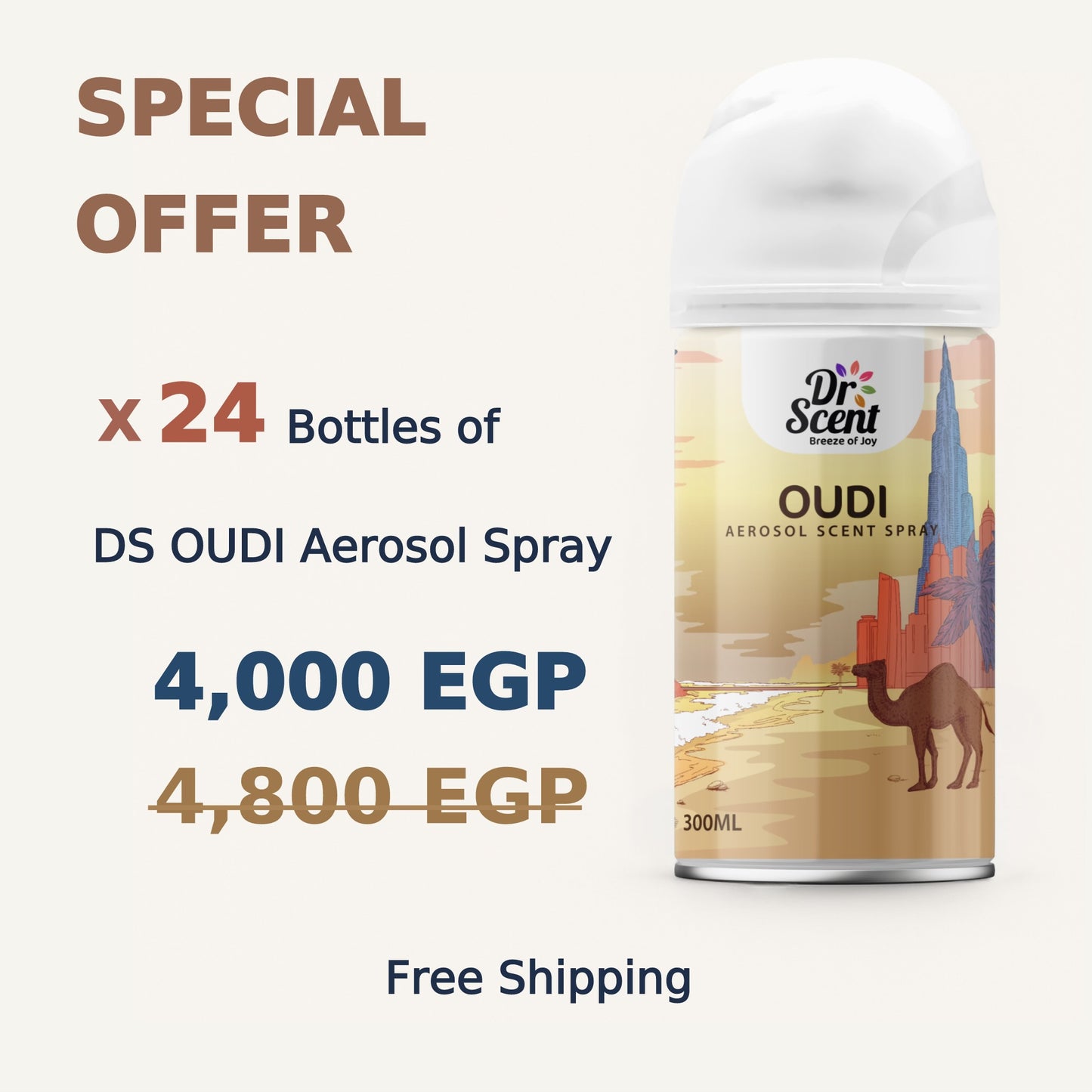 DS AEROSOL SPRAY OFFER