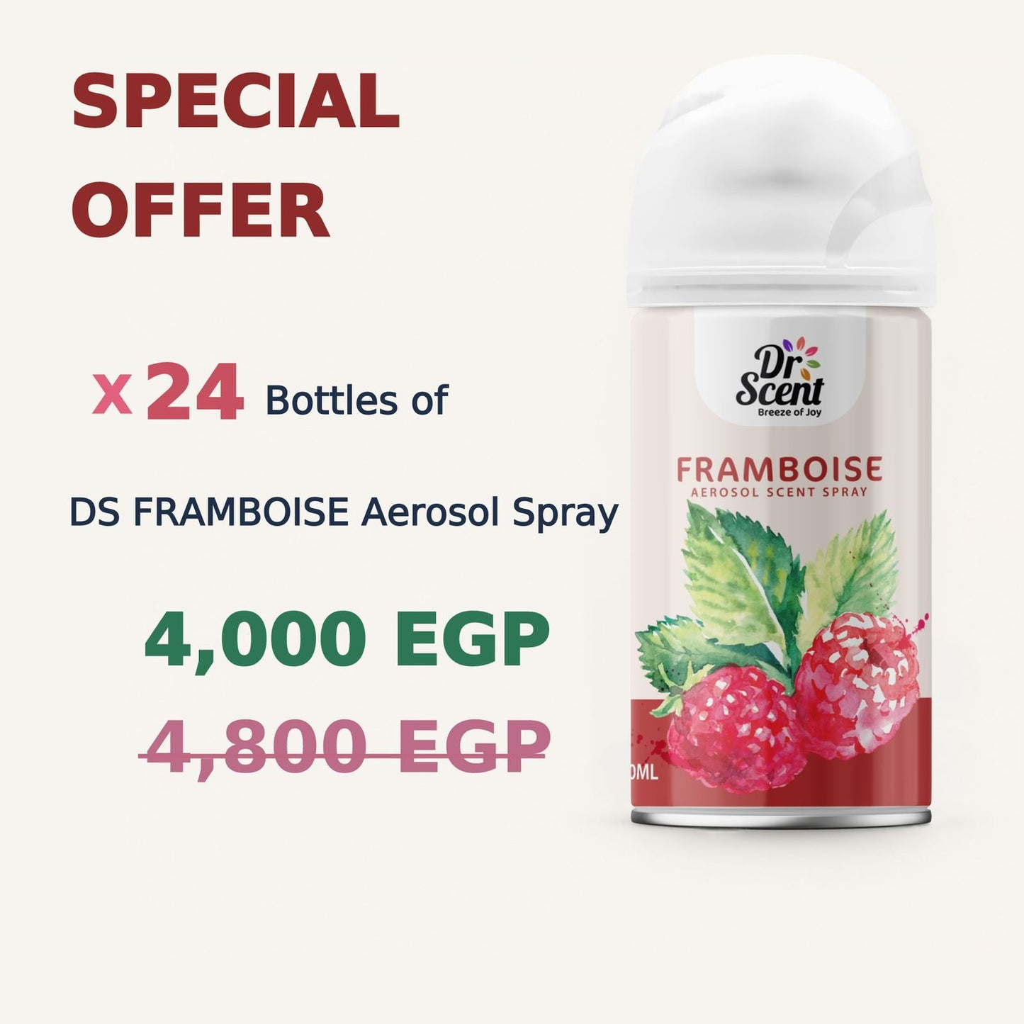 DS AEROSOL SPRAY OFFER
