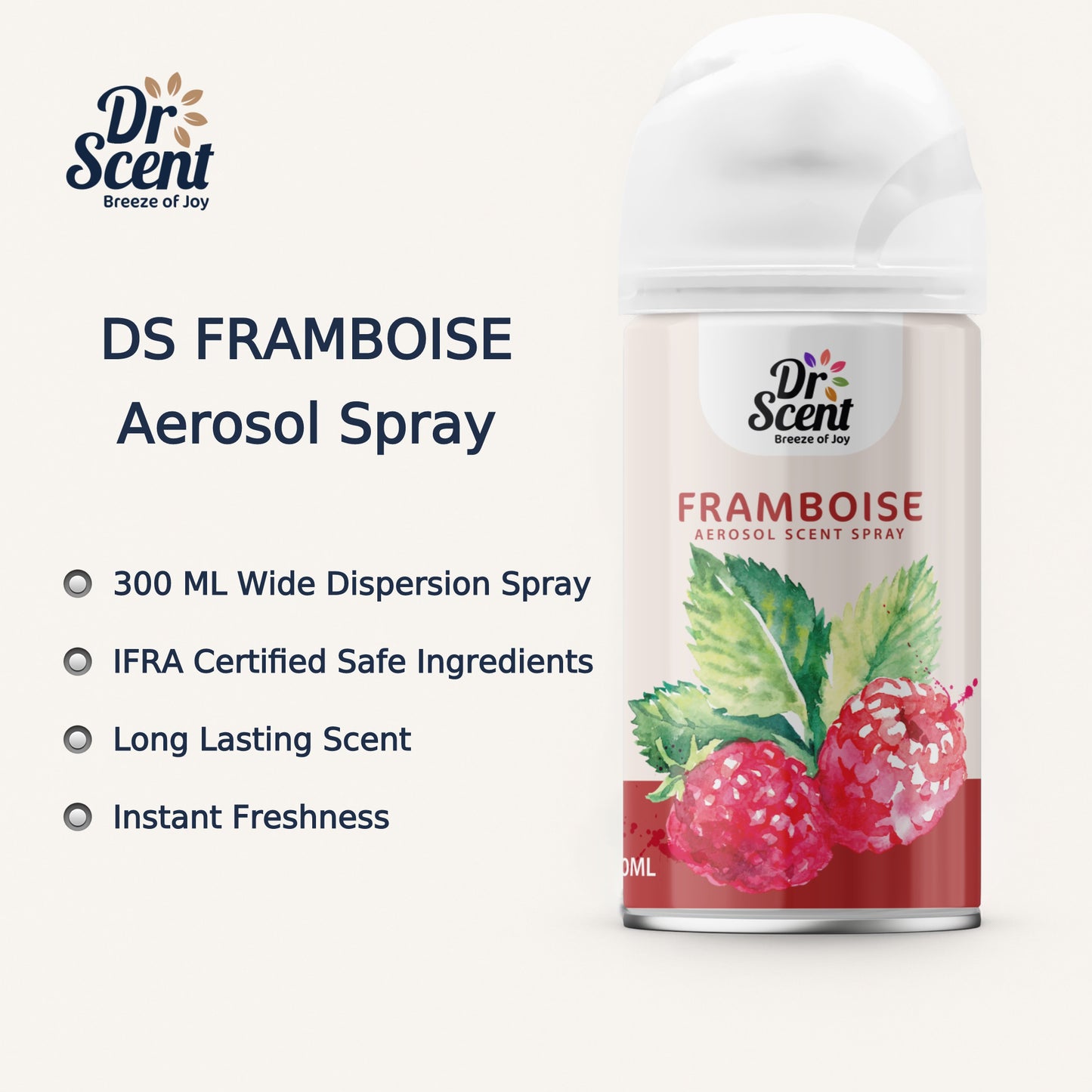 DS AEROSOL SPRAY