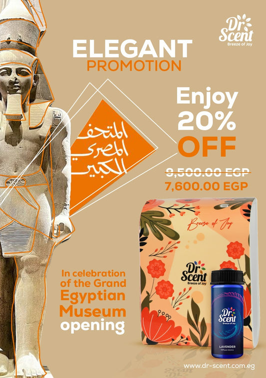 Elegant Diffuser Offer