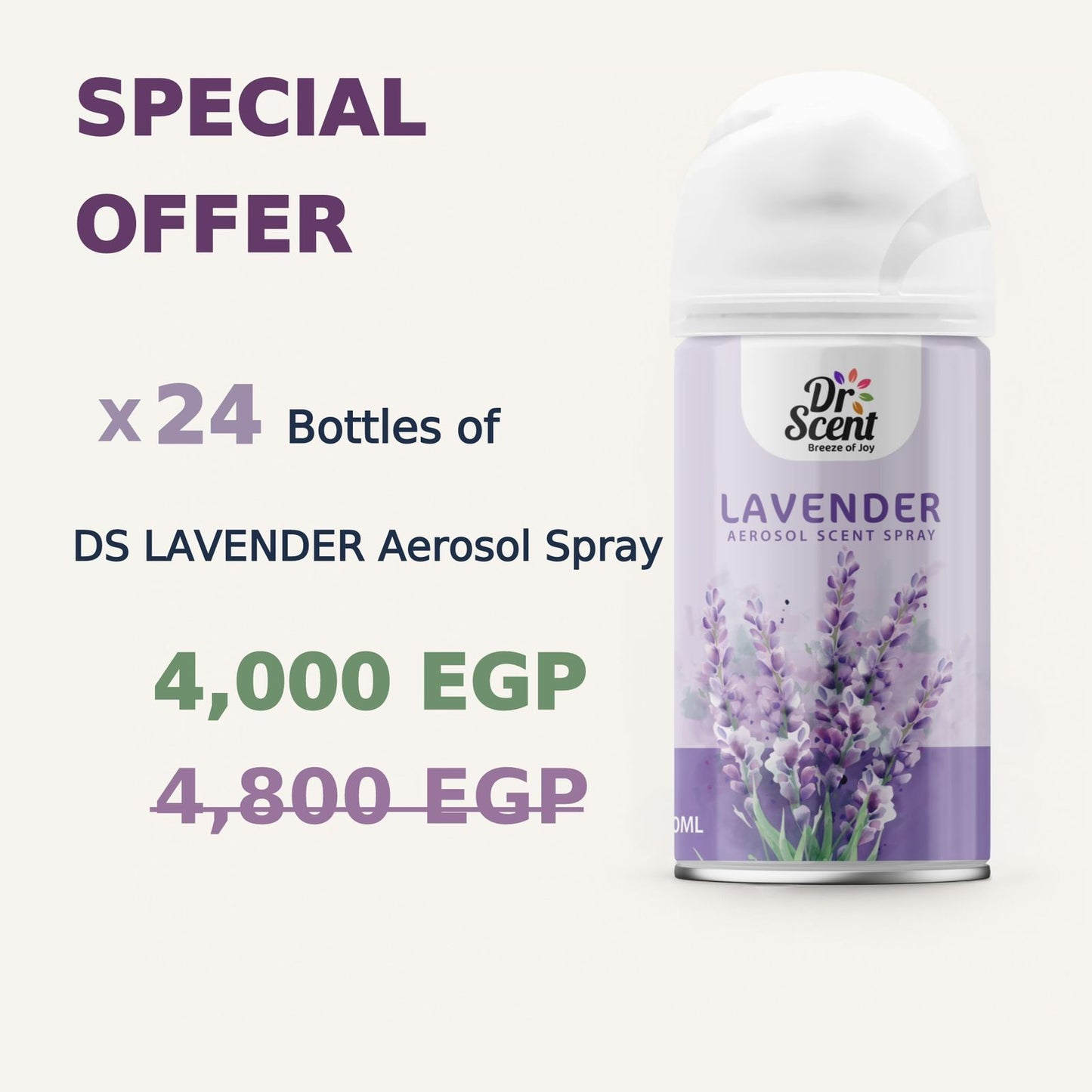 DS AEROSOL SPRAY OFFER