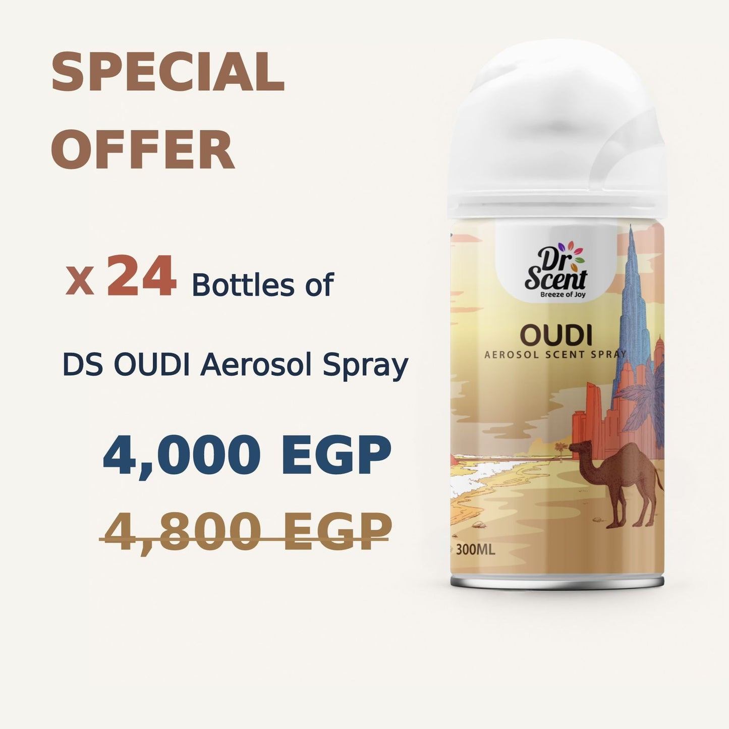 DS AEROSOL SPRAY OFFER