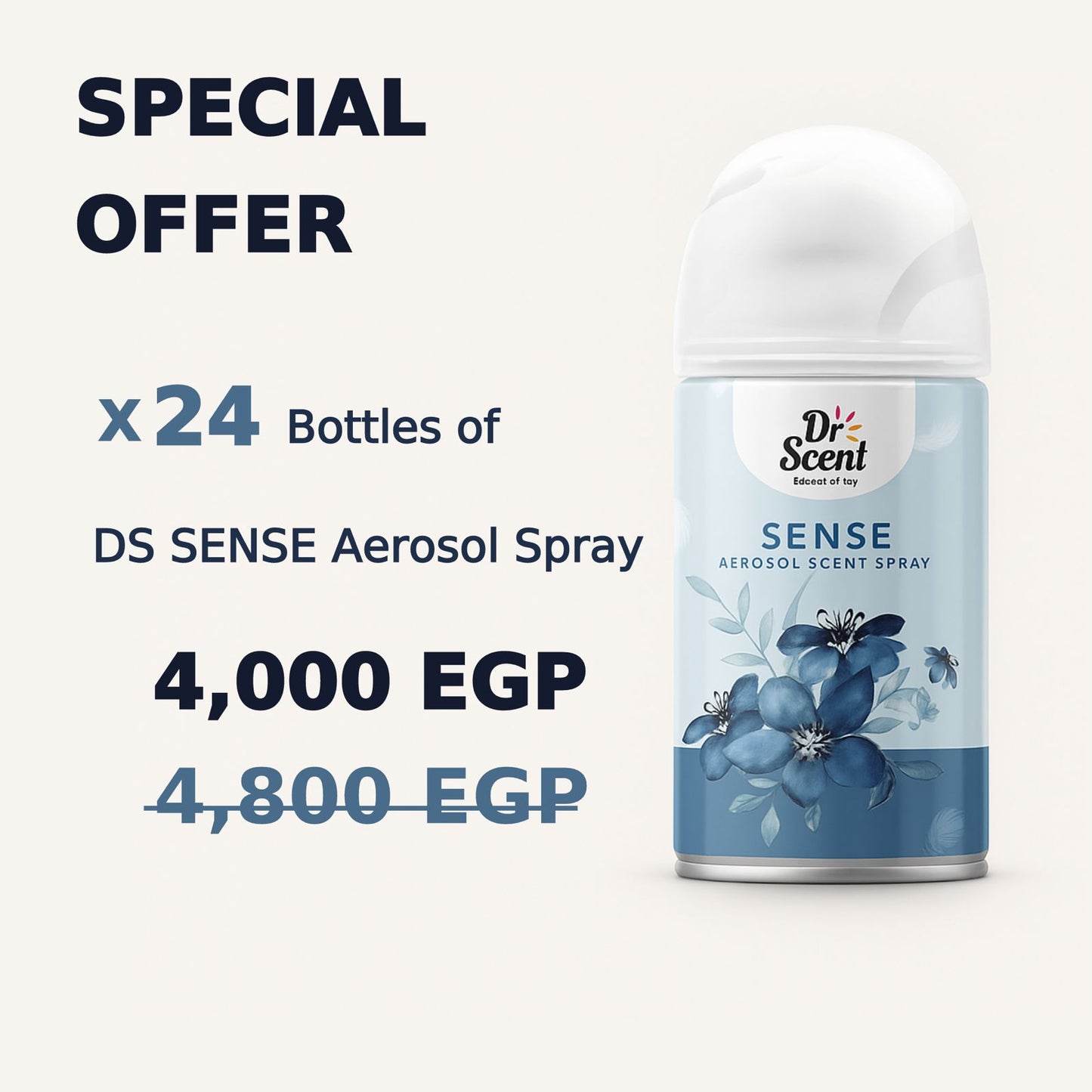 DS AEROSOL SPRAY OFFER