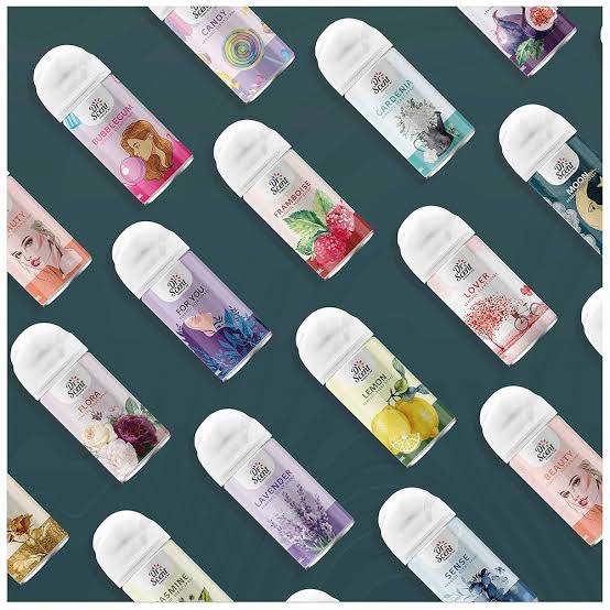DS AEROSOL SPRAY