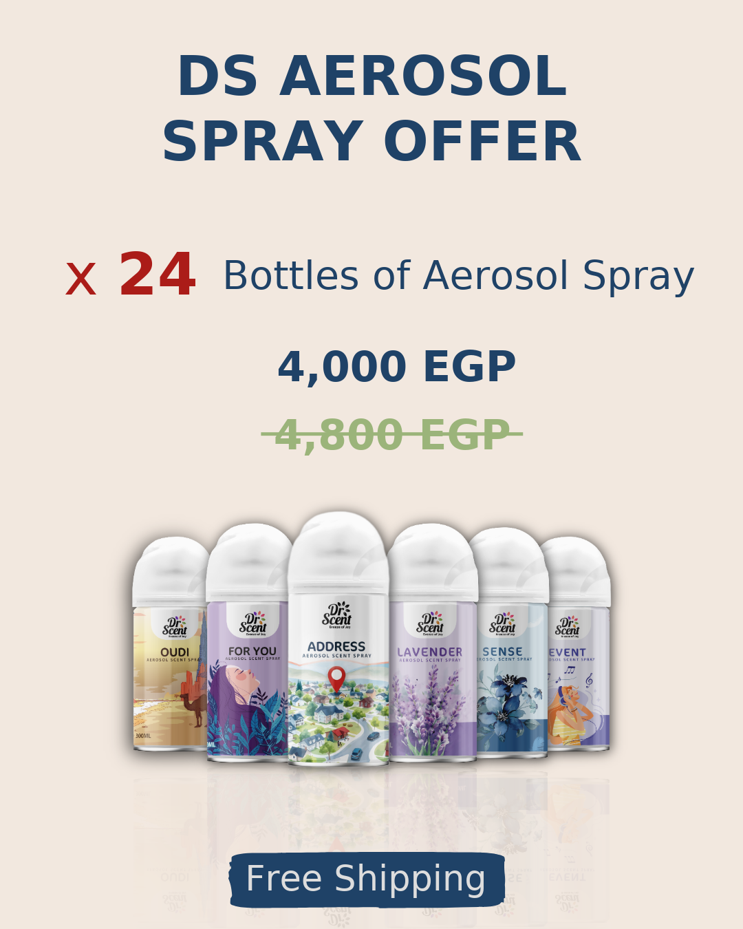 DS AEROSOL SPRAY OFFER